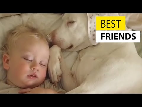 Cute Baby Playing With Dogs Compilation - Baby Pets Video || JukinVideo