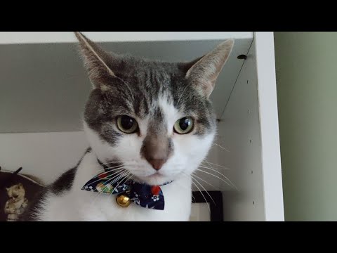 Sabriel is not impressed