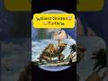 Giant Golden Turtle On Google Earth And Google Maps Shorts Googleearth Googlemaps