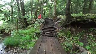 Kamikochi Hiking Guide 🌲 Myojin Pond to Bus Terminal Walk in Japan's Hidden Paradise