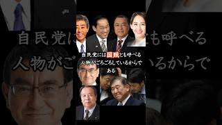 自民党の支持率を上げる方法 #shorts #政治