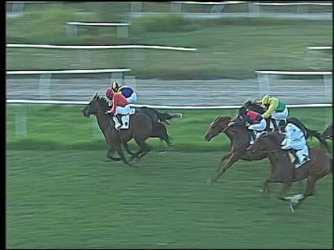 Galoppo 20/07/2016 - 3° corsa