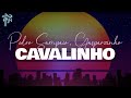 pedro sampaio, gasparzinho - CAVALINHO (letra)