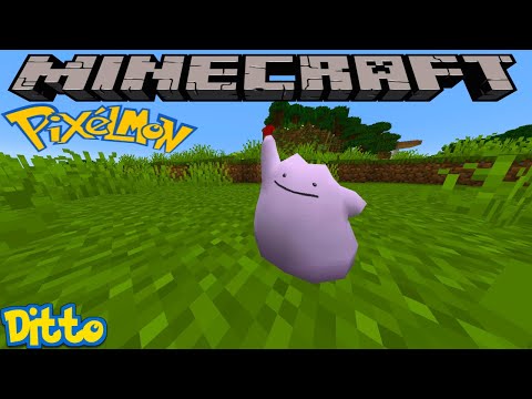 HOW TO FIND DITTO IN PIXELMON REFORGED - MINECRAFT GUIDE