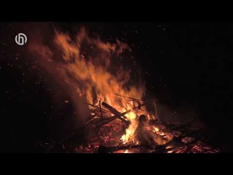 Kerstboomverbranding Vogelwaarde