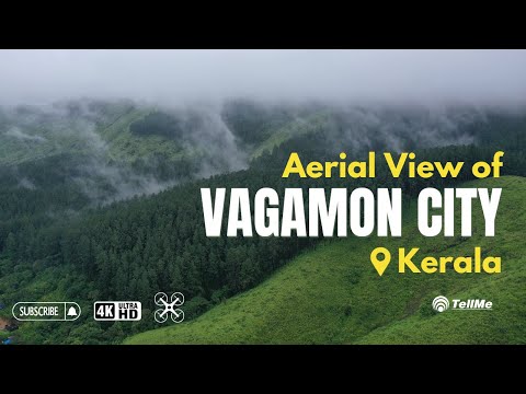 Discover Vagamon: Kerala's Serene Gem | Ultimate 2024 Travel Guide & Visual Journey