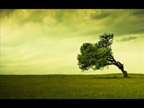 EXU VENTANIA  NA  DEMANDA E MAGIA 😈 KIMBANDA🔴 NOVO 🔴