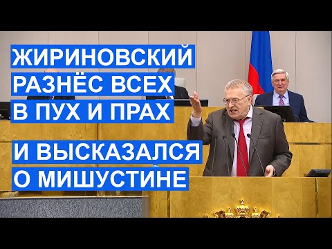 Жириновский разнёс депутатов, гуманитариев во власти и высказал мнение о Мишустине