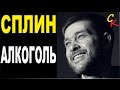 АЛКОГОЛЬ - Сплин (А.Васильев) Бой + ПРАВИЛЬНЫЕ аккорды (КАВЕР) 