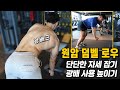등 운동ㅣ원암 덤벨 로우 단단한 자세 잡고 광배근 제대로 사용하기