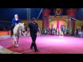 Amy Circus Ride