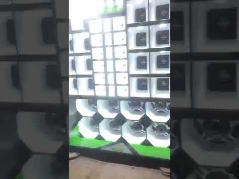 Montana lobo mau a pequena que da trabalho pros gigantes