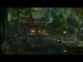 Swamp Sounds At Night Frogs Crickets Light Rain Forest Nature Sounds