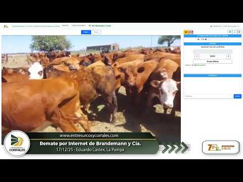 17-12-25 - Remate por Internet de Brandemann y Cía. - Eduardo Castex, La Pampa