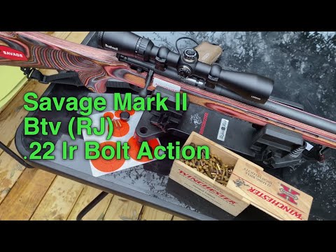 Savage Mk II BTV .22 lr bolt action / Bushnell Legend scope build and review..
