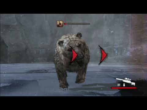 Cabela's Dangerous Hunts 2011 (PS3 Version) - Chapter 4: "Grizzly Hunt"