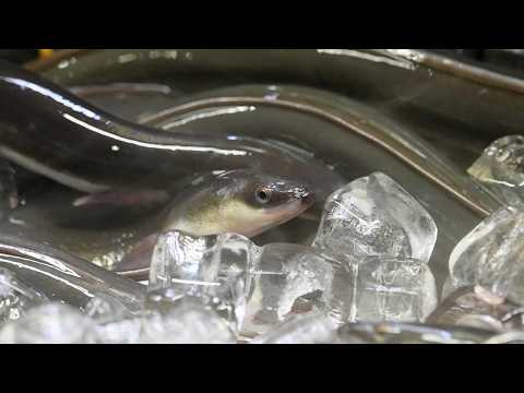 Legendary Unagi Grilled Eel Restaurant in Kyoto