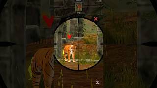 Tiger hunt #youtube #youtubeshort #gaming #youtubeshort #gameplay #hunting #hunt #shorts #shortvideo