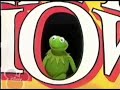 A Compilation Of Kermit Fangirling Over 70s Celebrities