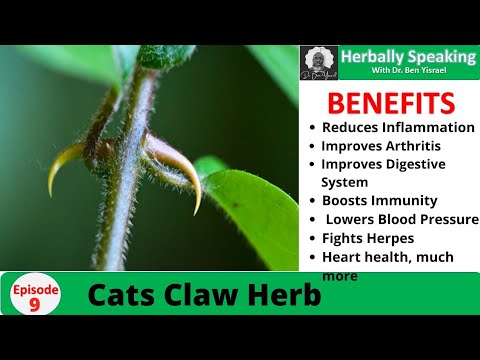 Herbally Speaking Episode 9 Cats Claw (CANCER HERB SERIES #1)
