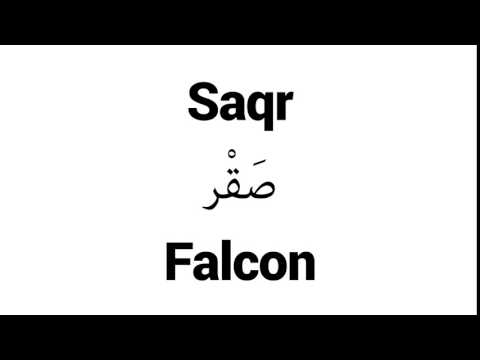 How to Pronounce Saqr! - Middle Eastern Names