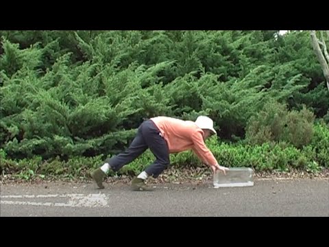 Video thumbnail for Gargoyle