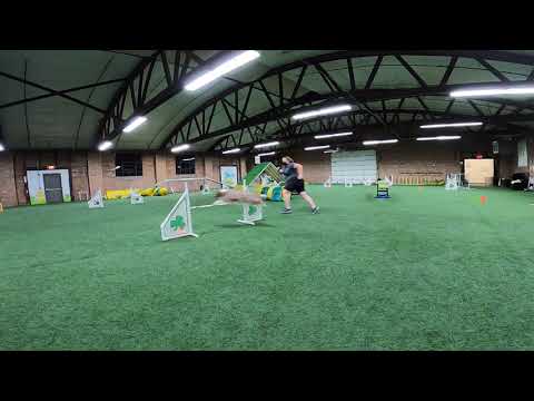 Vex GP #109386 Module 2