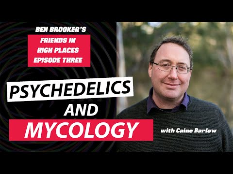 Friends in High Places E04 - Psychedelics and Mycology with Caine Barlow