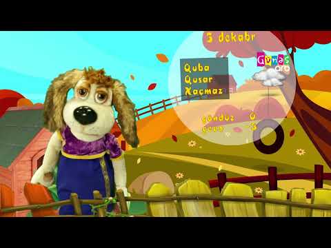 "Hava necə olacaq?" - 5 dekabr 2022-ci il