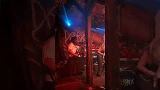 Download lagu Dalriada - Hajdútánc Sopron élő  Molnár István bassgitár, koncert 2025.12.20 Hangár, folk metal HUN mp3