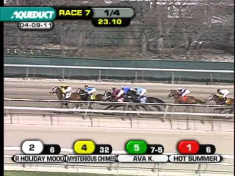 Hot Summer - The Comely (G3)