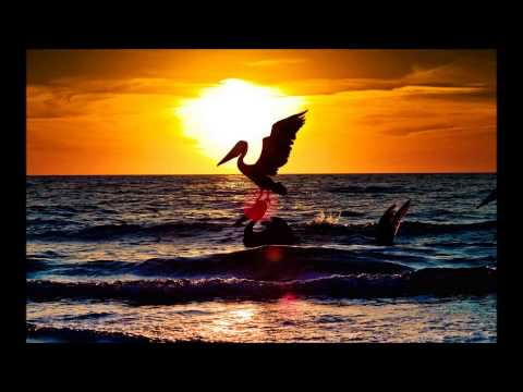 Karmon vs Tasita D' Mour - Wowshit Can Rise (Nomade Mashup)