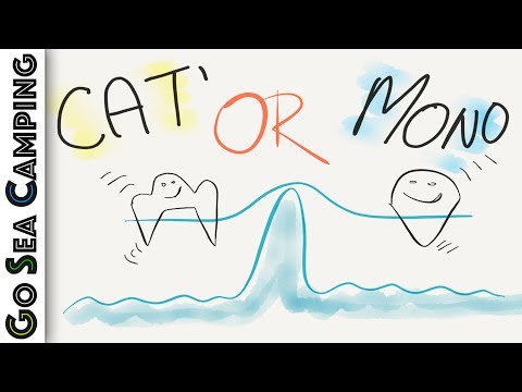 Cat or Mono?  [Go Sea Camping - Ep13]