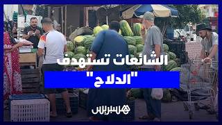 شائعات “مرض الدلاح” تتسبب في انخفاض الإقبال رغم وفرة الإنتاج thumbnail