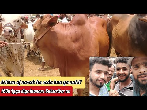 Kiya is bar Soda Naseeb Ka Hua Subscriber ka | Malir Mandi 8-6-2021 price update Part 1 Qurbani 2021