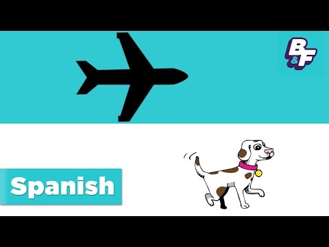 Learn Spanish transportation words with BASHO & FRIENDS - Como Vamos