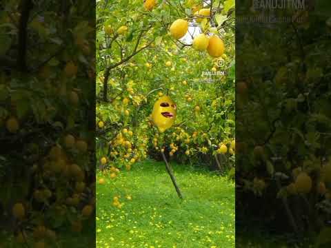 SUBSCRIBE MY CHANNEL     💗❤️❤️💗💗💕💕💕💕💕