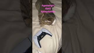 Gamer cat #shorts #short #viral #youtubeshorts #like #catshorts #gaming #playstation #ps5 #live #lit by Puffin Pete