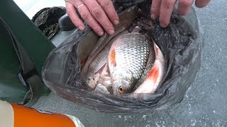 Рыбалка на сурском водохранилище форум