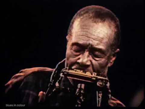 Jesse Fuller - live [Colourised] in 1968