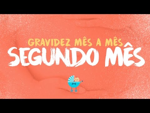 2 meses de gravidez- Sintomas e tamanho da barriga
