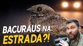 Miniatura do vídeo