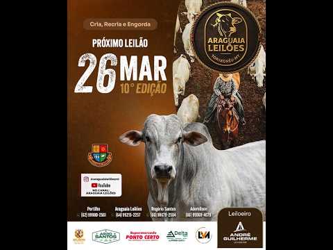 Araguaia leilões Torixoréu - MT  26/03/2026