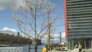 Urban Waters Tacoma tour