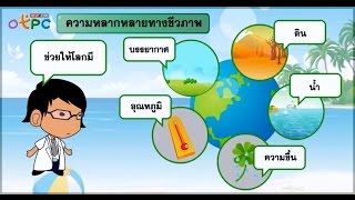 สื่อการเรียนการสอน ความหลากหลายทางชีวภาพ กับการดำรงชีวิตอย่างสมดุลม.3วิทยาศาสตร์