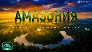 АМАЗОНКА: Величайшая экосистема планеты | Документальный фильм | 4K | Дикая природа |Джунгли 