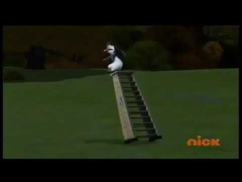 Penguin drives invisible flying car?!