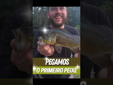 PEGAMOS O PRIMEIRO PEIXE | Vídeo completo na BIO! #pesca  #floresta  #eua  #florida