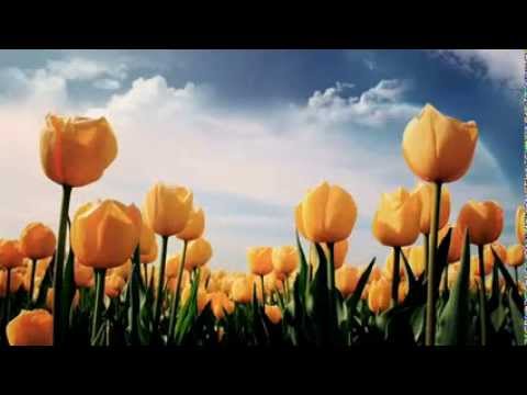 Vizita e varrezave të prindërve-  Shejh Shenkiti