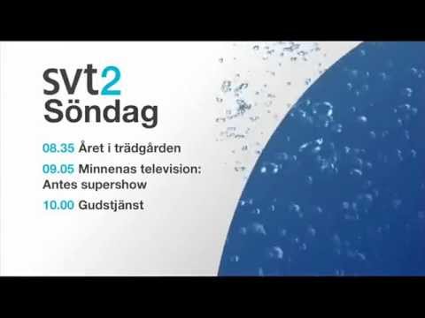 SVT2 (Sweden) - Menu Schedule (2012)